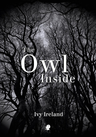 Owl Inside