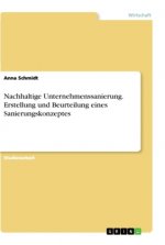 Nachhaltige Unternehmenssanierung. Erstellung und Beurteilung eines Sanierungskonzeptes