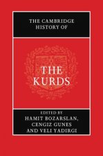 Cambridge History of the Kurds