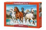 Puzzle 2000 Zew natury konie C-200702-2