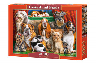 Puzzle 3000 Klub psa C-300501-2
