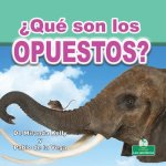 ?Qué Son Los Opuestos? (What Are Opposites?)