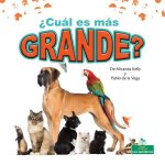?Cuál Es Más Grande? (Which Is Biggest?)