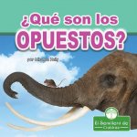?Qué Son Los Opuestos? (What Are Opposites?)