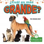 ?Cuál Es Más Grande? (Which Is Biggest?)