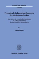 Prozedurale Lebensschutzkonzepte des Medizinstrafrechts.