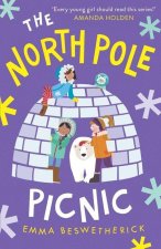 The North Pole Picnic: Playdate Adventures