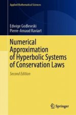 Numerical Approximation of Hyperbolic Systems of Conservation Laws