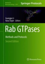 Rab GTPases