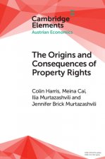 Origins and Consequences of Property Rights