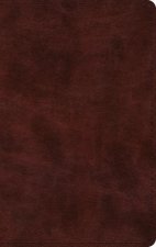 ESV Large Print Thinline Bible