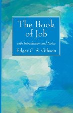 Book of Job with Introduction and Notes