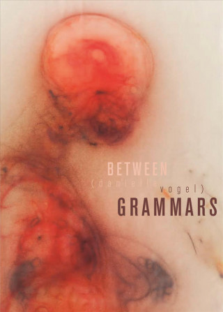 Between Grammars