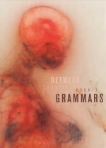 Between Grammars