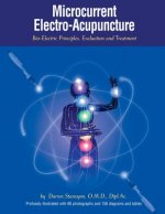 Microcurrent Electro-Acupuncture: Bio-Electric Principles, Evaluation and Treatment