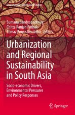 Urbanization and Regional Sustainability in South Asia