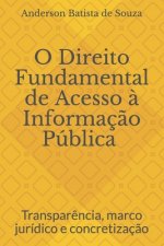 O Direito Fundamental de Acesso ? Informaç?o Pública: Transpar?ncia, marco jurídico e concretizaç?o