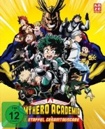 My Hero Academia - 1. Staffel - Gesamtausgabe - DVD-Box (3 DVDs) [Deluxe Edition]