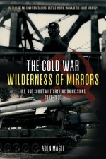 Cold War Wilderness of Mirrors