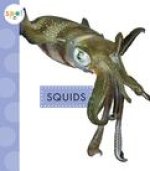 Squids
