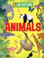 Big Questions for Little People: Animals