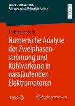 Numerische Analyse Der Zweiphasenstroemung Und Kuhlwirkung in Nasslaufenden Elektromotoren
