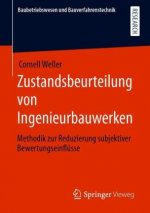 Zustandsbeurteilung Von Ingenieurbauwerken
