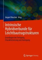 Intrinsische Hybridverbunde für Leichtbautragstrukturen