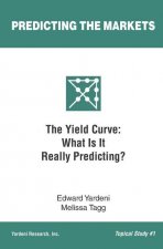 The Yield Curve: What Is It Really Predicting?