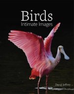 Birds: Intimate Images