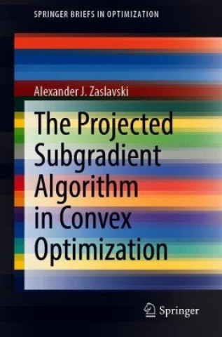 Projected Subgradient Algorithm in Convex Optimization