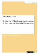 The Liability of the Management Consultant in Restructuring. Corporate Restructuring