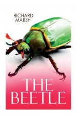 Beetle