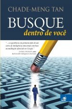 Busque Dentro de Voce