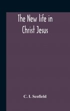New Life In Christ Jesus