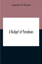 Budget Of Paradoxes