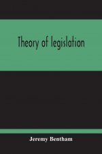 Theory Of Legislation