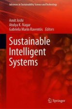 Sustainable Intelligent Systems