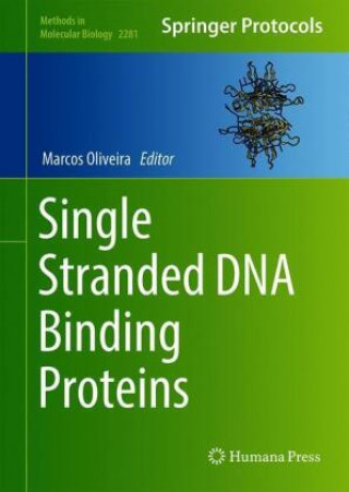 Single Stranded DNA Binding Proteins