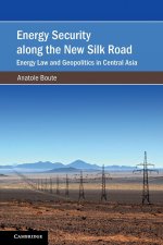 Energy Security along the New Silk Road