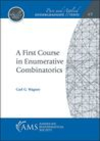 First Course in Enumerative Combinatorics