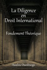 Diligence En Droit International Fondement Theorique