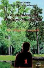 Les enqu?tes de Philippe Montebello: Un village si tranquille