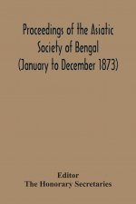 Proceedings Of The Asiatic Society Of Bengal (January To December 1873)