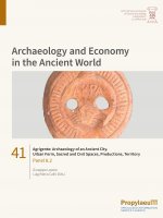 Agrigento: Archaeology of an Ancient City. Urban Form, Sacred and Civil Spaces,                Productions, Territory