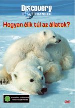Hogyan élik túl az állatok? - DVD