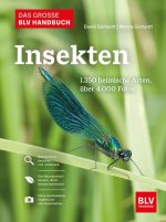 Das große BLV Handbuch Insekten