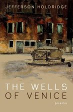 Wells of Venice