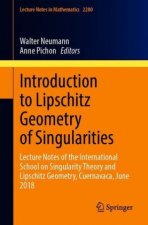 Introduction to Lipschitz Geometry of Singularities