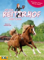 Auf dem Reiterhof geht's rund - mit großem, farbigem Pferde-Poster